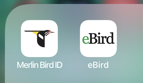 Bird Apps